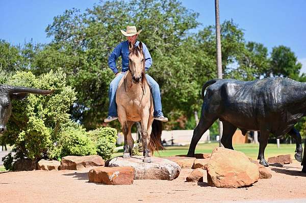 calf-roping-quarter-horse