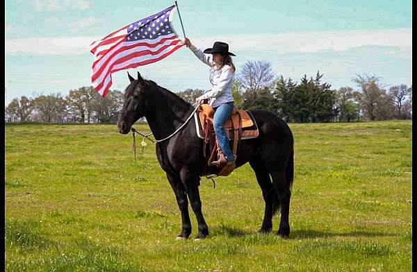 flashy-friesian-horse