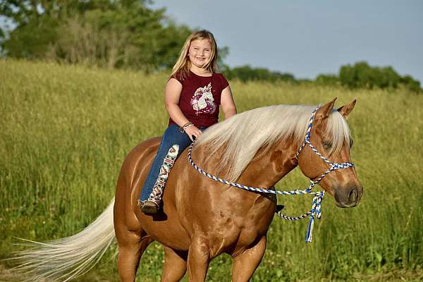 kid-safe-quarter-horse