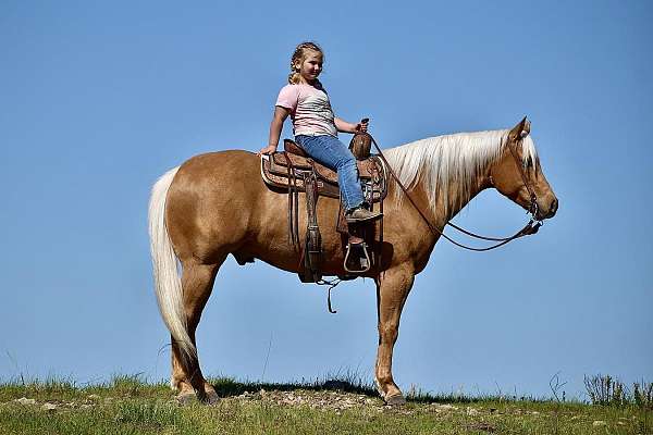 ranch-versatility-quarter-horse