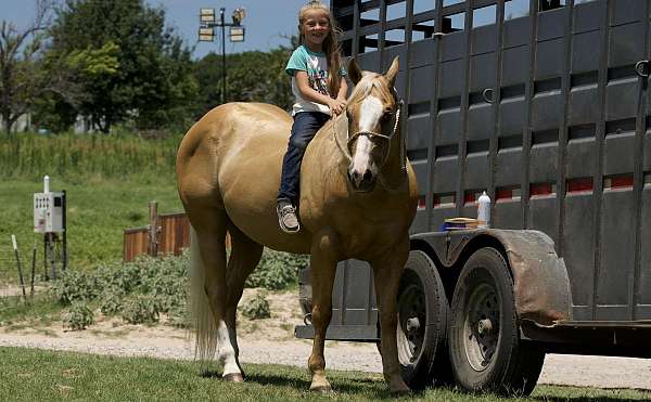 roping-quarter-horse