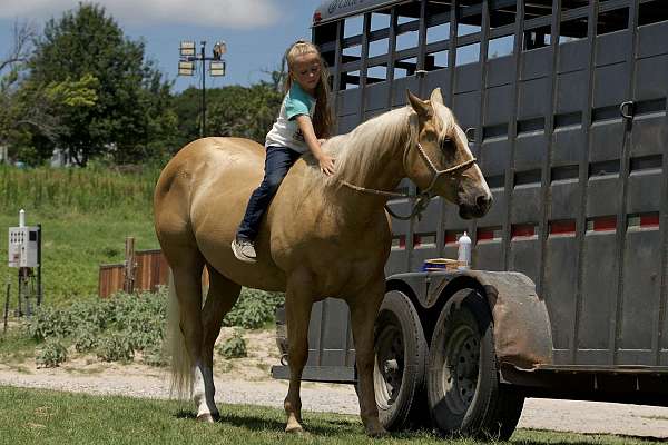 trail-riding-quarter-horse