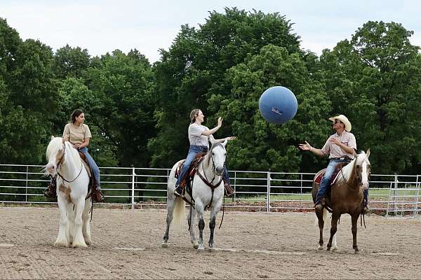 flashy-quarter-horse