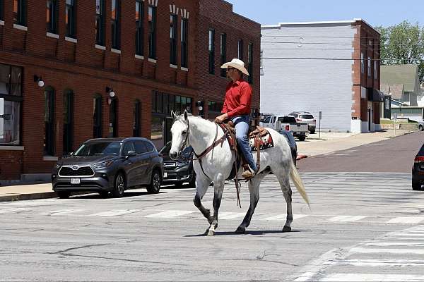 husband-safe-quarter-horse