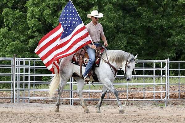 jumping-quarter-horse