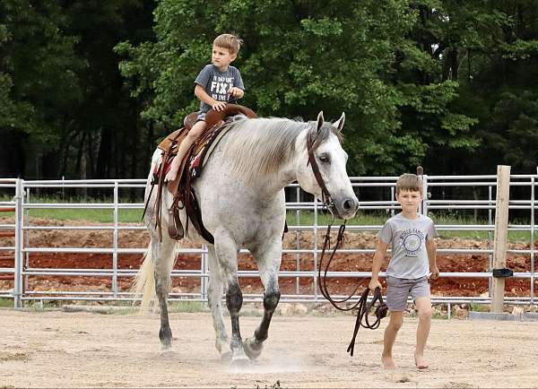 ranch-versatility-quarter-horse