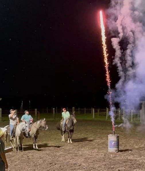 grulla-see-pics-horse