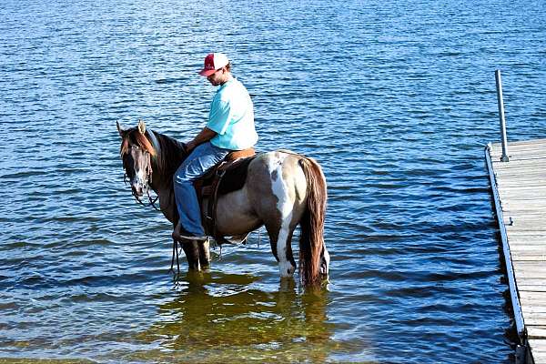 trail-paint-horse