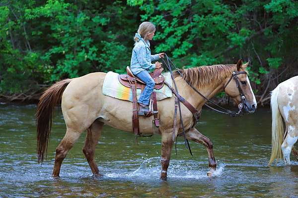 flashy-quarter-horse