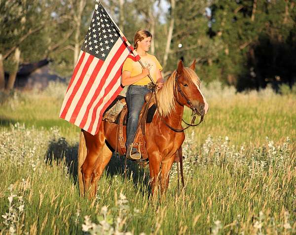 husband-safe-draft-horse