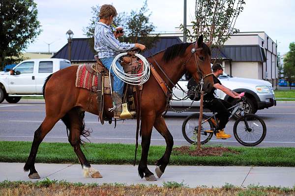 flashy-azteca-horse