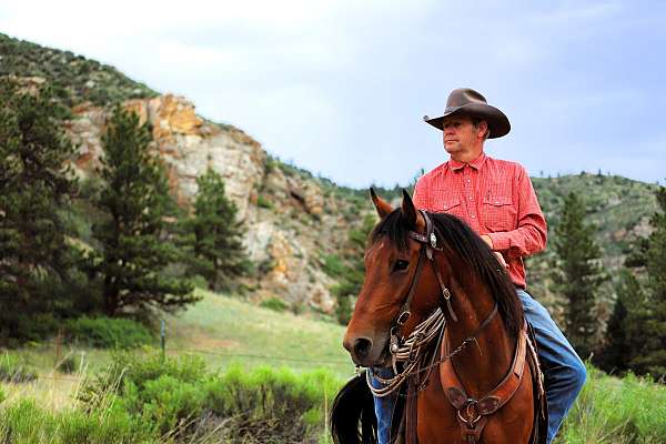 trail-azteca-horse