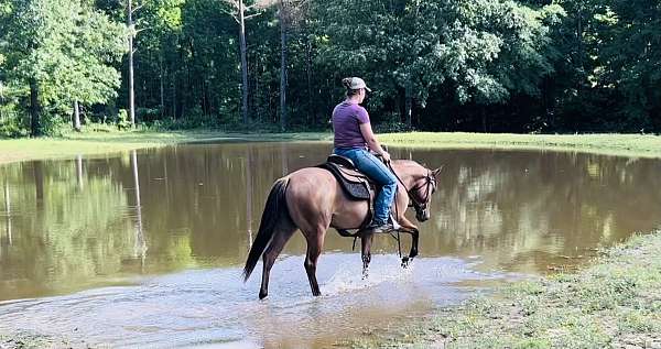 trail-quarter-horse