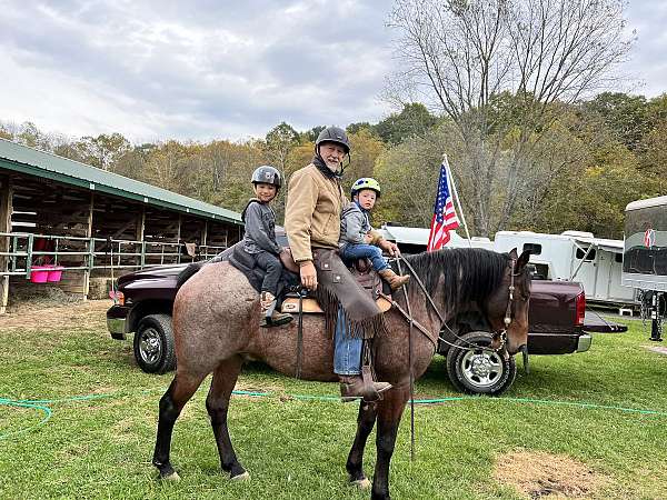 star-freeze-branded-running-w-on-left-hip-horse