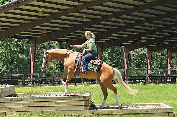 bombproof-quarter-horse