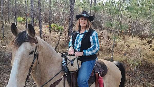 buckskin-ears-horse