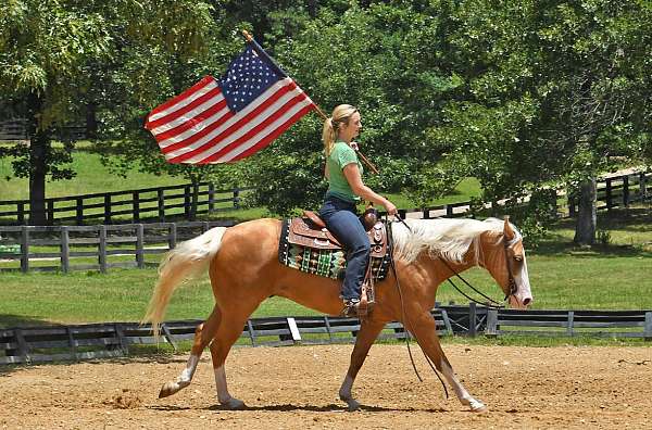 kid-safe-quarter-horse