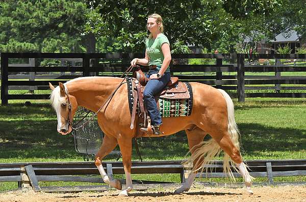 gelding-quarter-horse