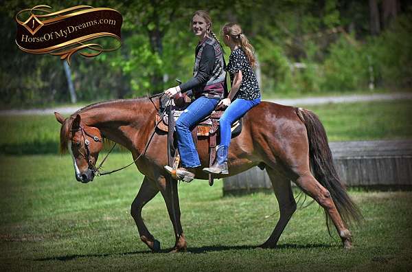 chestnut-western-dress-horse