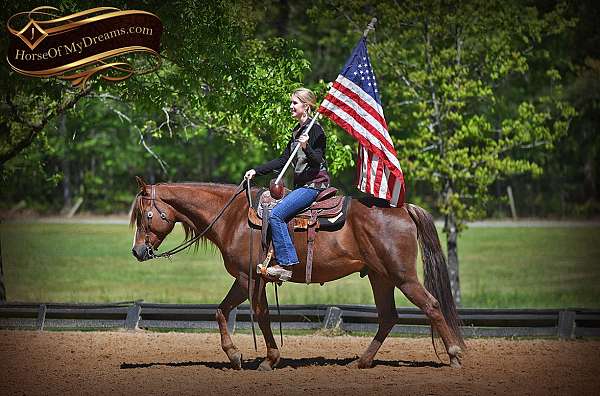 trail-pony-quarter