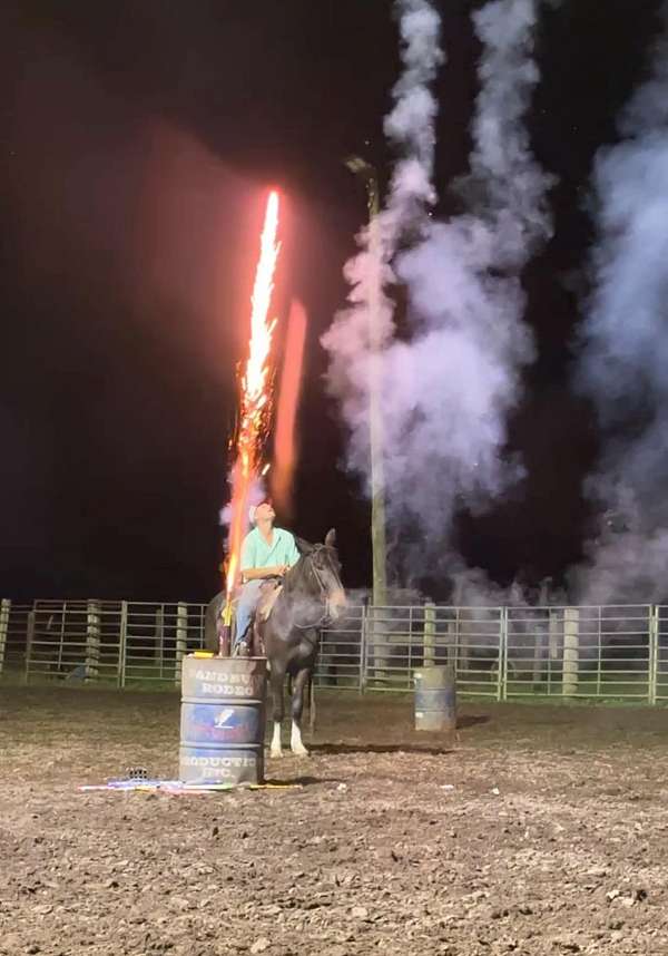 ranch-work-quarter-horse