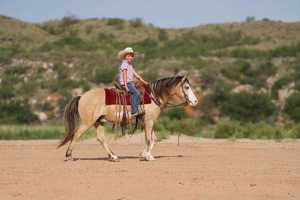 beginner-safe-quarter-pony