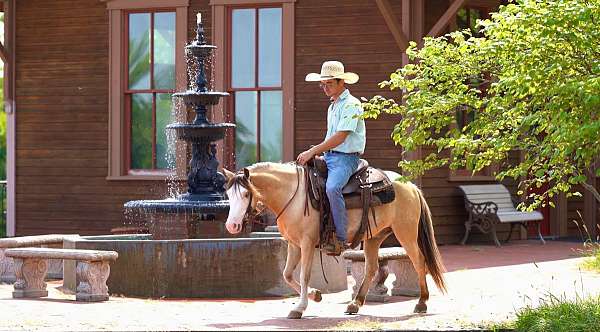 crosses-creeks-quarter-pony