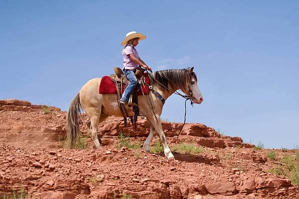 good-friend-quarter-pony