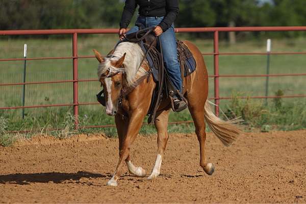 ranch-quarter-horse