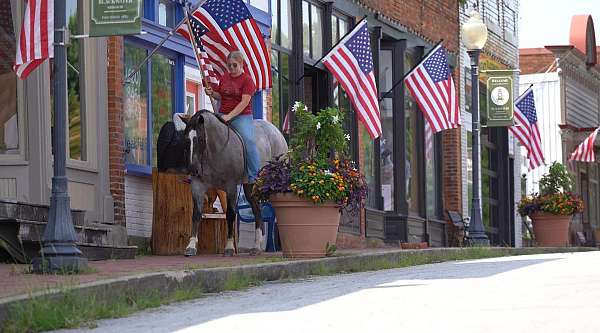 ranch-work-quarter-horse