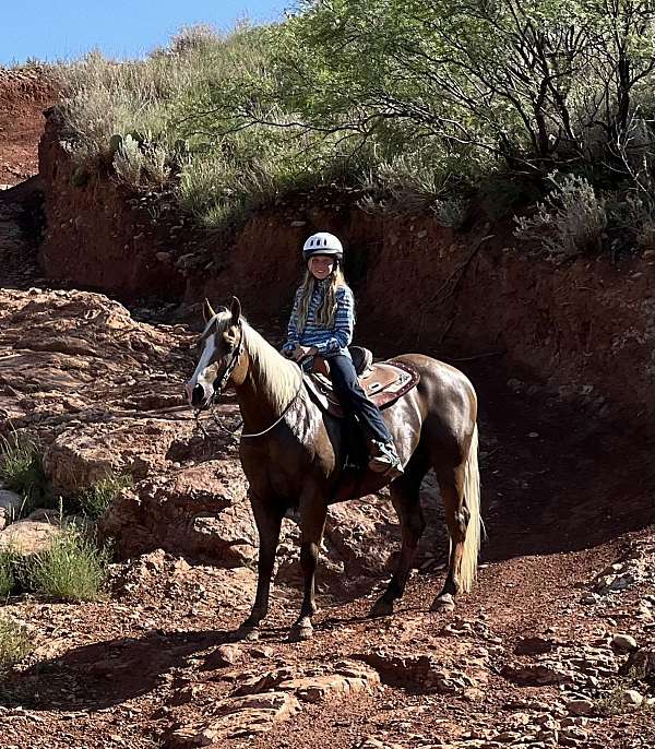 ranch-work-quarter-horse