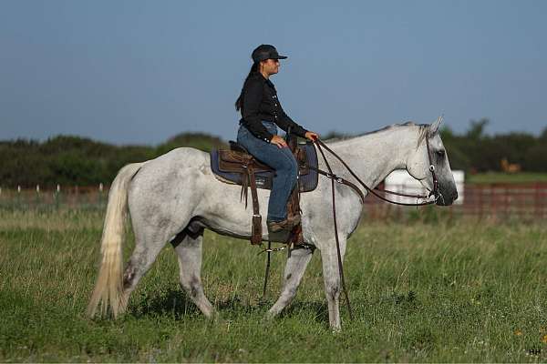 athletic-quarter-horse