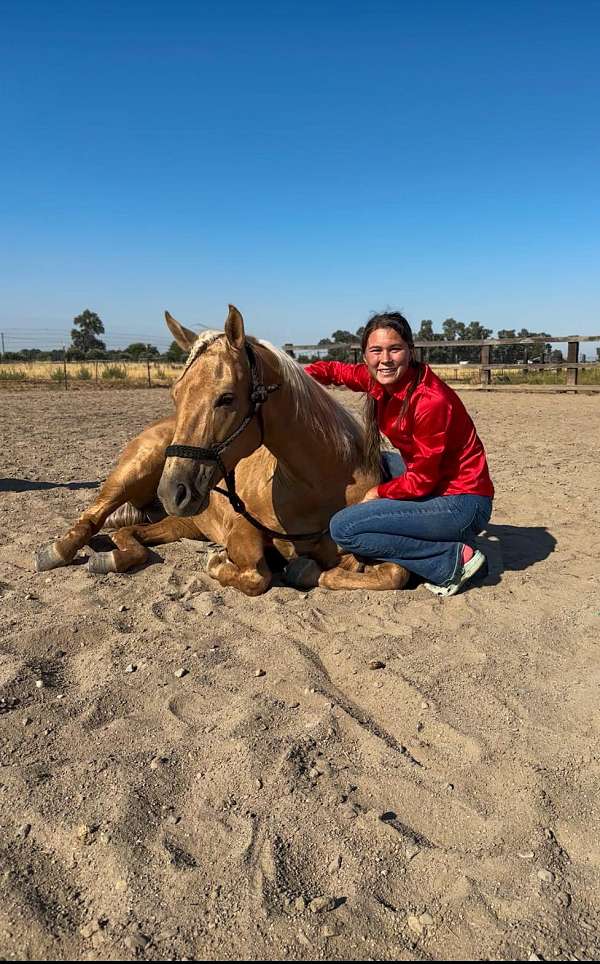 ranch-work-quarter-horse