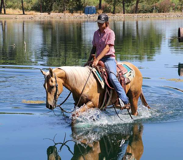 flashy-quarter-horse