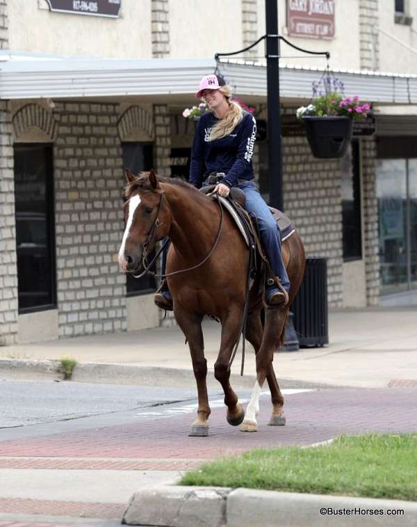 ranch-work-quarter-horse