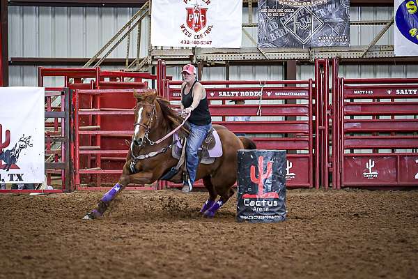 barrel-racing-pole