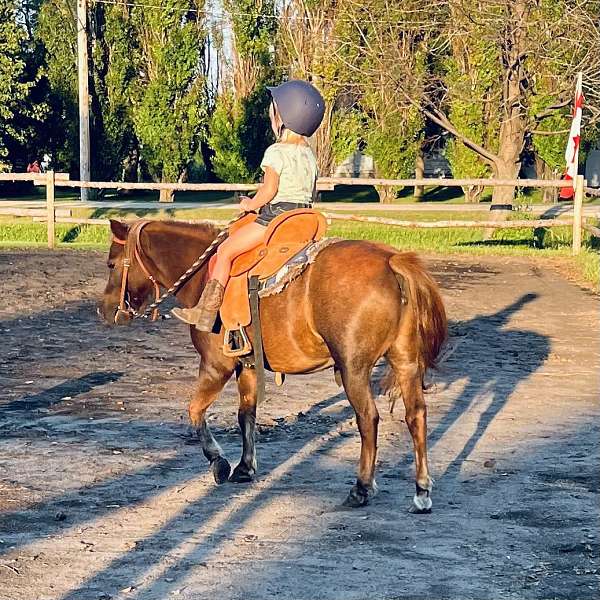 athletic-trail-pony