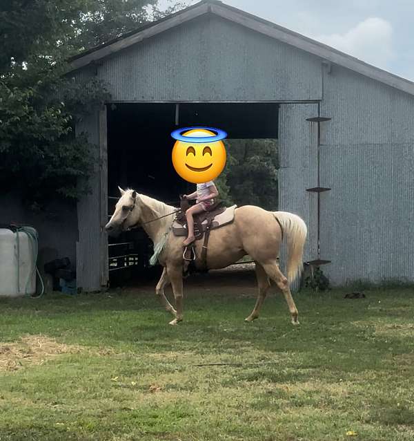 double-or-with-saddle-quarter-horse