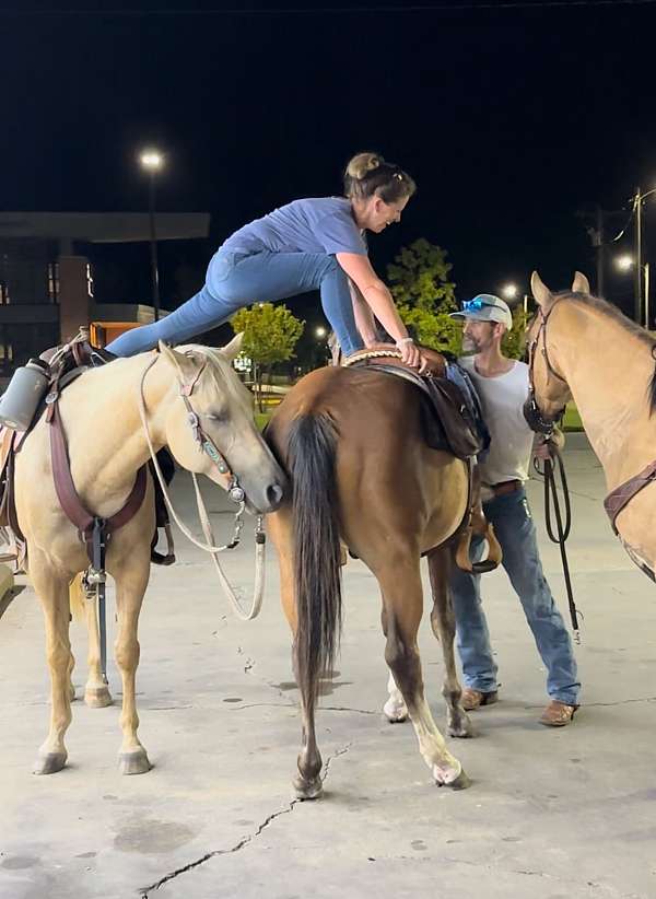 gorgeous-quarter-horse