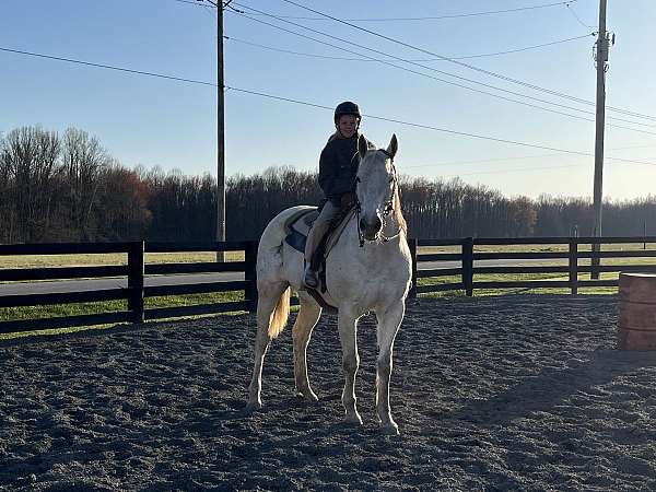 barrel-thoroughbred-horse