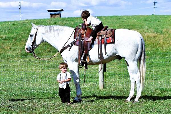 family-quarter-horse