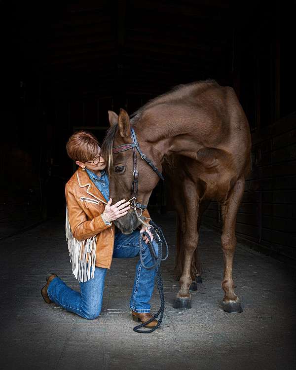 trail-tennessee-walking-horse