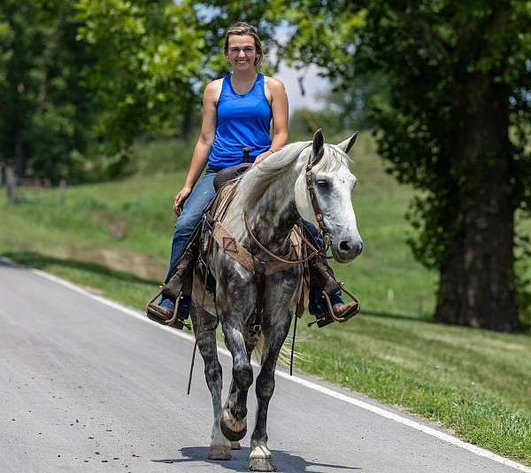 beginner-quarter-horse