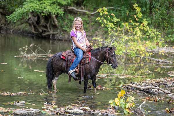 cowgirls-pony