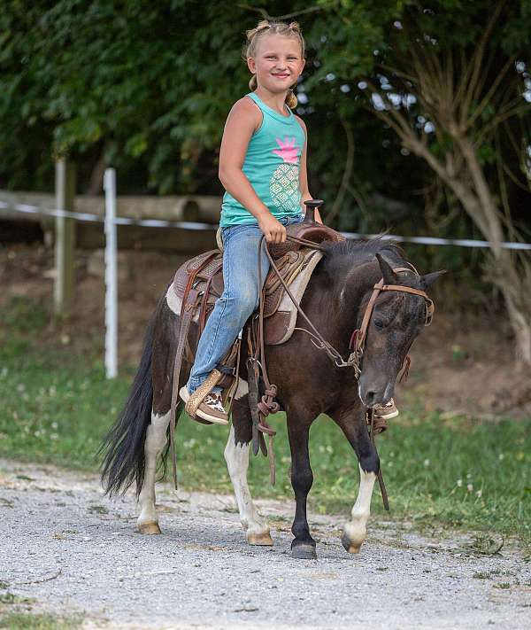 heart-of-gold-pony