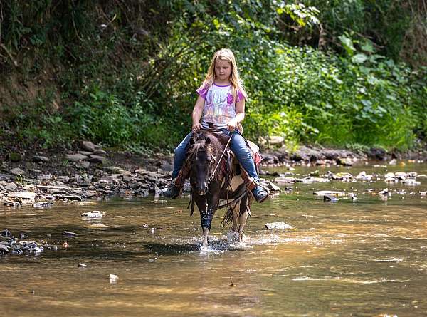 mighty-gelding