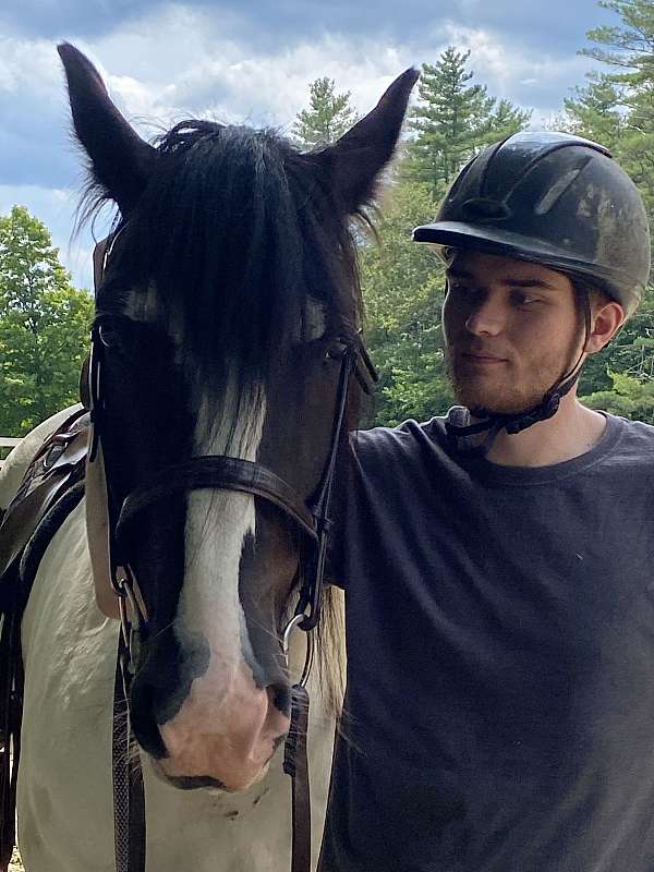 husband-horse-gypsy-vanner