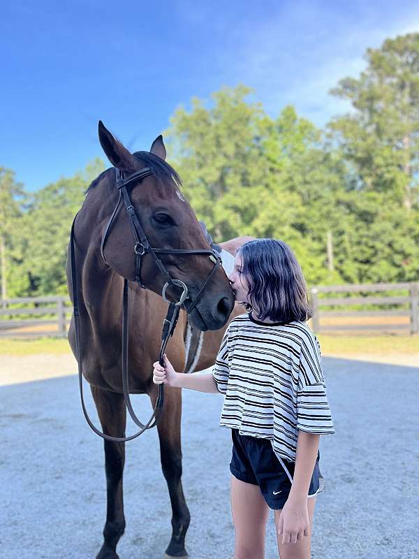 awesome-thoroughbred-horse