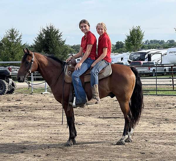 bay-rear-socks-pony