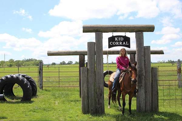 ranch-work-quarter-pony